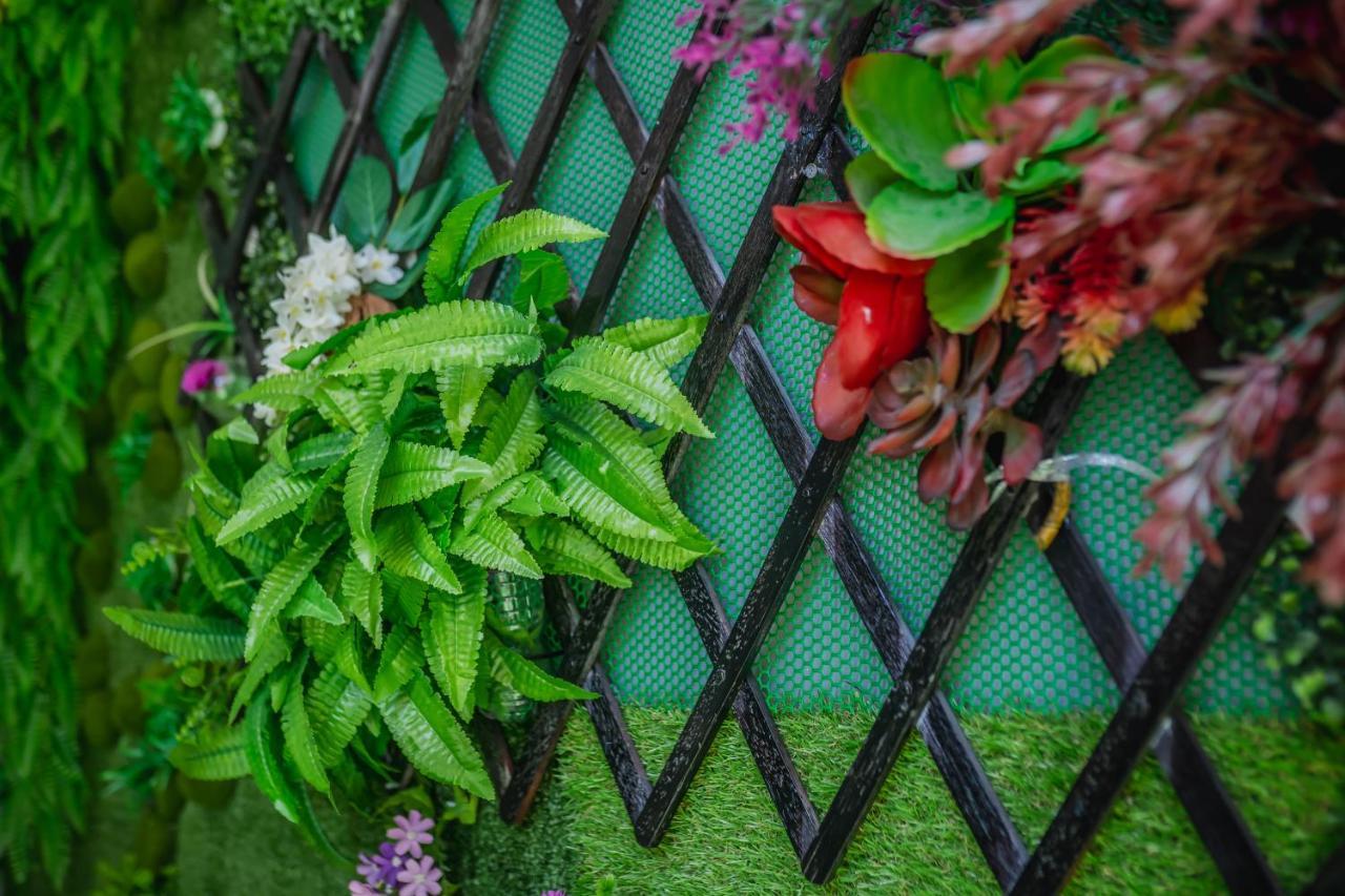 Menulis Coolly House Patong Bed & Breakfast Ngoại thất bức ảnh