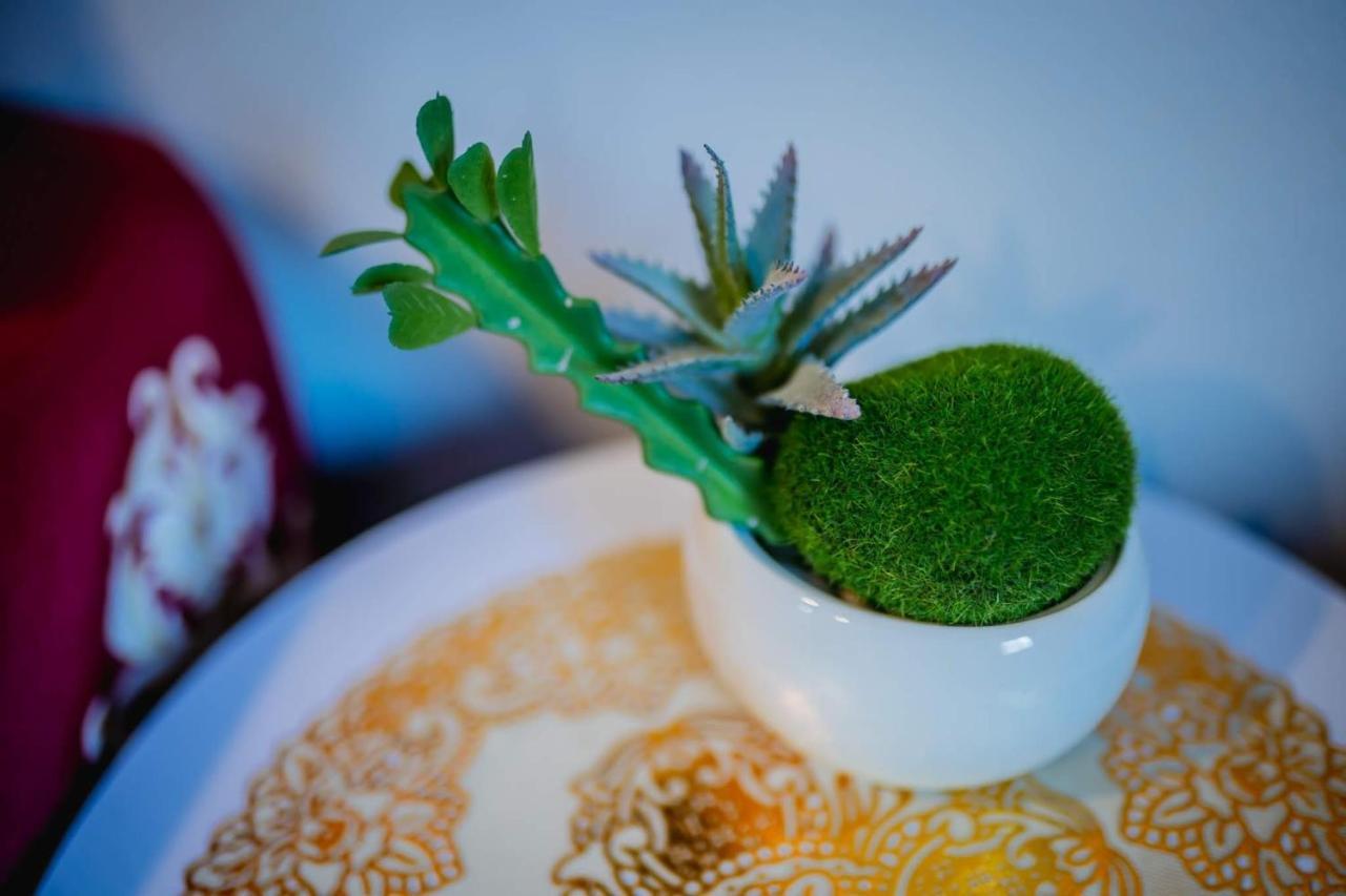 Menulis Coolly House Patong Bed & Breakfast Ngoại thất bức ảnh